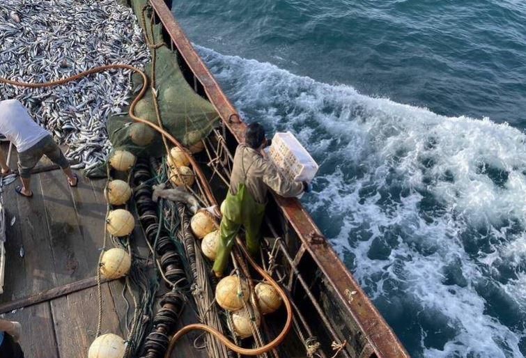 大陸漁船越界捕魚！苗栗外海押回1船11人　2千公斤漁獲全海拋