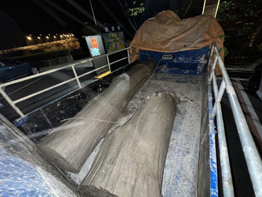 夜闖石門水庫載走價值22萬「肖楠」　基隆男觸《森林法》送辦