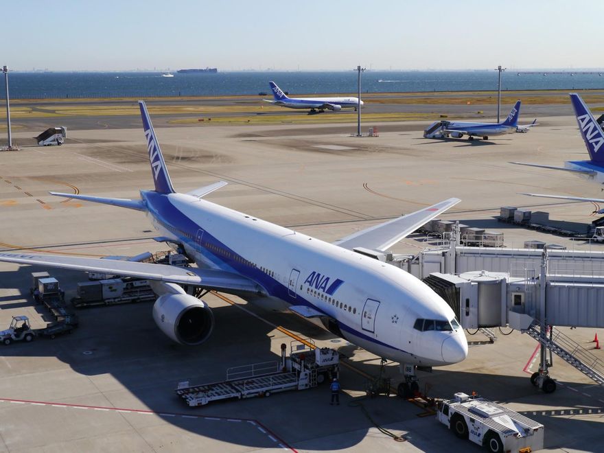 空歡喜一場！才霸氣說Bug便宜機票全認　全日空改口將全數取消行程並退款