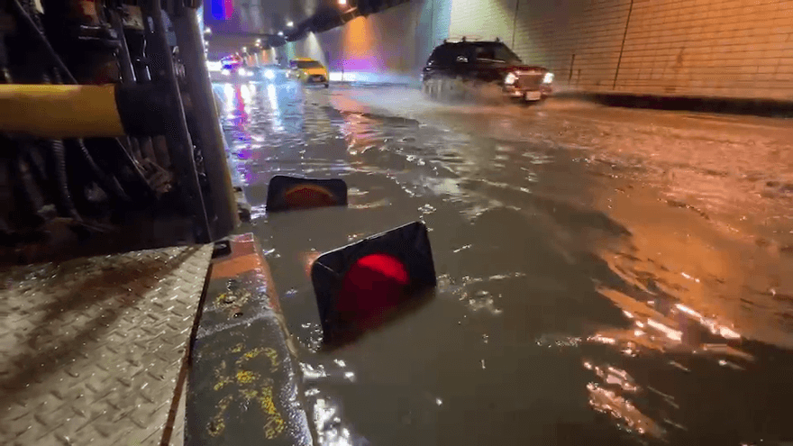 卡努健康/颱風大雨腳泡水裡！當心致命「鉤端螺旋體」　去年至今已近百例釀1死