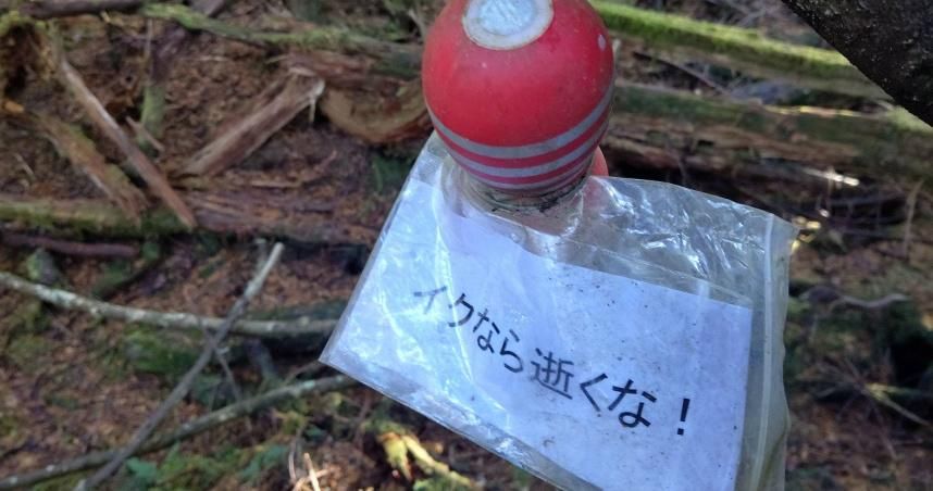 日本「輕生聖地」掛滿謎樣飛機杯　搭配暖心小卡奇葩勸世