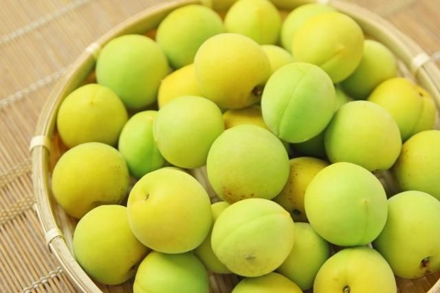 「烏梅子醬」究竟是什麼？中醫揭能補血、抗疲勞　2情況不宜食用