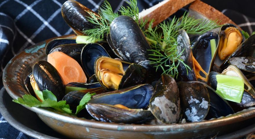 淡菜不是菜！營養師：「這海鮮」營養價值不輸深海魚