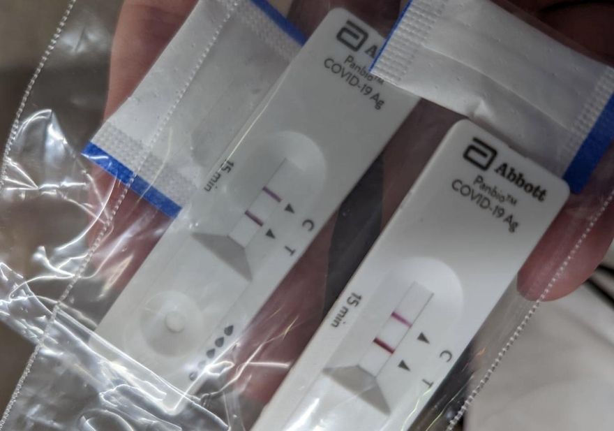 新冠病毒變異太快！最近快篩變不準「3成偽陰性」 醫：當心長輩變重症