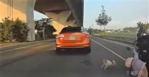 影/1犬擊落3機車！屏188線爆連環車禍1女重傷　嫌犯「牠」還在逃