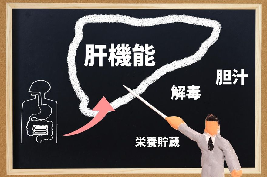 資深音樂人林秋離肝癌換肝仍病逝　醫曝風險：換肝急性期有2大致命風險