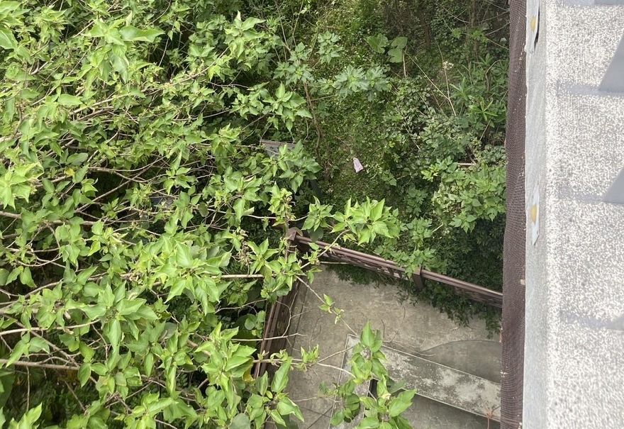 萬華男子消失橋上　河濱公園草叢找到人、無呼吸心跳