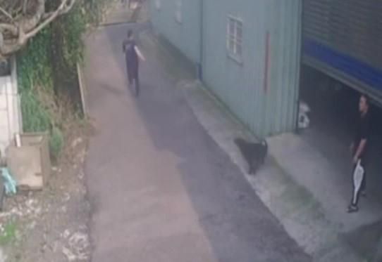 影/彰化警追酒駕男！小黑狗「神助攻」　飼主：晚餐加雞腿