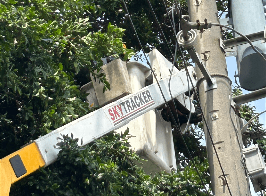 快訊/高雄又停電了！湖內區3914戶遭殃　台電：雷雨害導線燒損