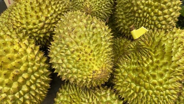 隔著螢幕都有味道！營養師揭榴槤「6大優缺點」