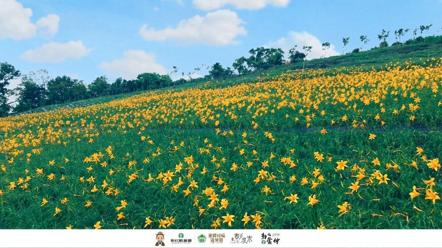 母親節賞花趣／東勢林場金針花海　5/13、5/14媽媽入園門票半價