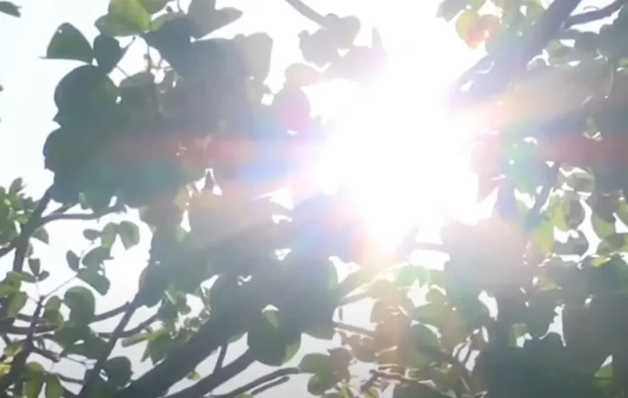未來一周熱爆！西半部飆39度高溫　午後雷雨增多擴大