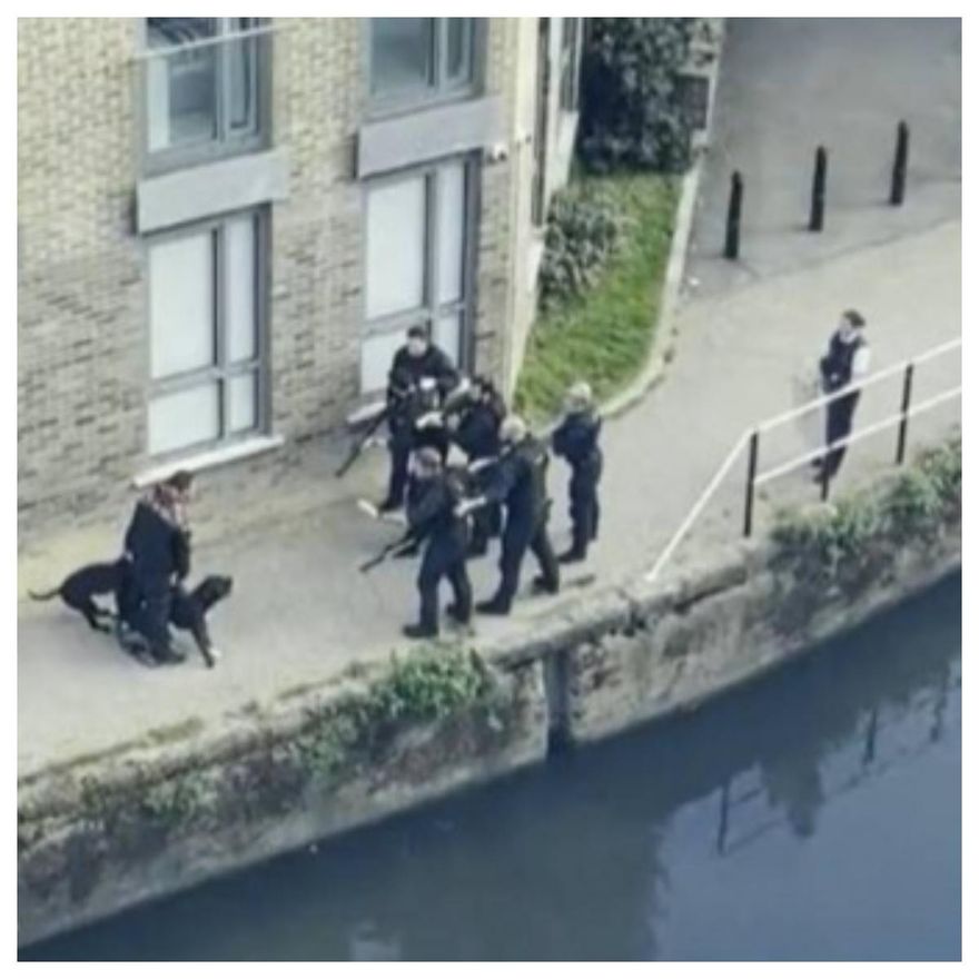 民眾被咬飼主拒交狗！7警圍捕竟直接「射殺2狗」　網民砲轟執法過當
