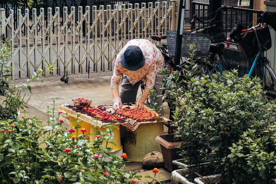 悲慘母親節！日本54歲男菜刀砍82歲媽　頸部中刀、倒臥血泊斷氣