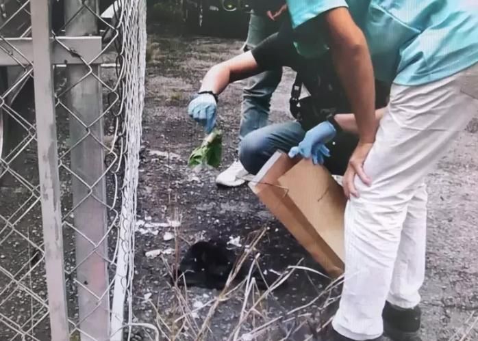 分手想復合！恐怖情人丟汽油彈又亮刀恐嚇　判1年5月