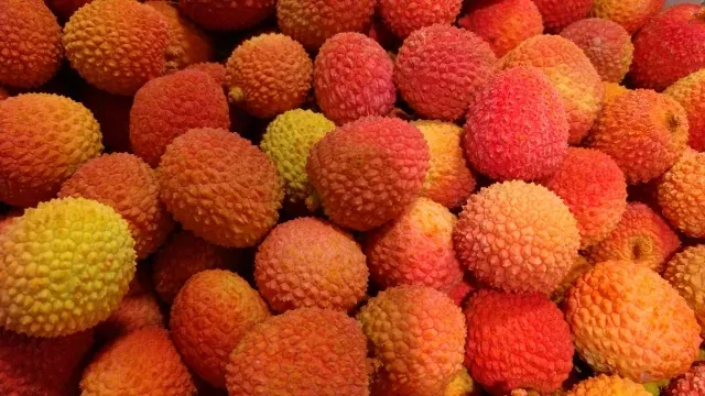 荔枝泡鹽水更毒！吃不熟荔枝恐致「荔枝病 」：食用4大忌曝、2病患慎食