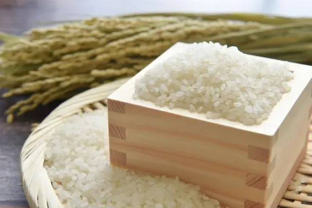 澱粉不吃也會出事！維持身材穩定血糖　醫師推薦8可吃、6不吃食物