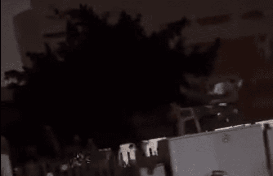 影/不怕觸電？高雄超狂阿伯在變電箱上乘涼　台電：設備不危險
