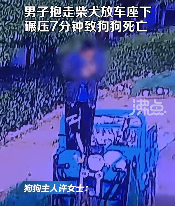 影/愛犬失蹤主人急報警　驚見陌生男「騎車來回輾壓7分鐘」凌虐致死