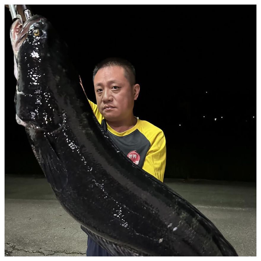 日月潭降雨水位升　「釣魚達人」黃小四首次捕獲32斤魚虎