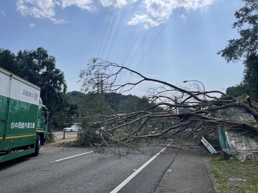 影/國3甲西向0.7公里處路樹倒塌佔全線車道！現場一度傳車輛遭砸中