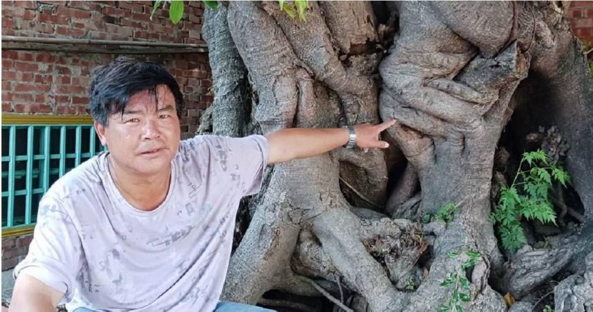 300歲樹公「臭臉變慈祥」！雲林「人面雀榕」成景點　信眾：人多心情好