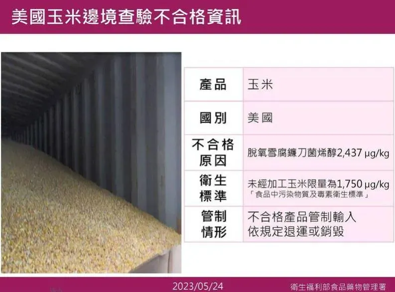 美國進口玉米首驗「嘔吐毒素」！50萬公斤全數銷毀　食藥署曝抽查結果