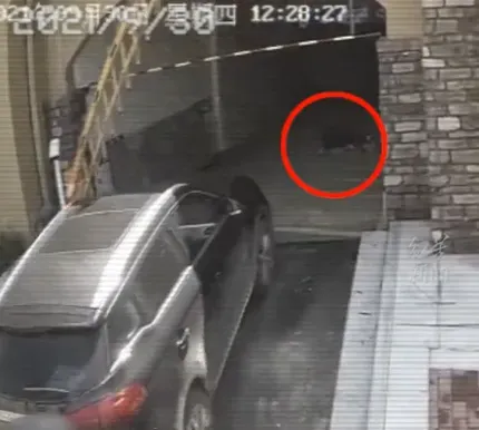 影/清潔工躺「停車場通道」午睡遭輾斃　倒楣駕駛羈押1年判無罪憤求288萬國賠
