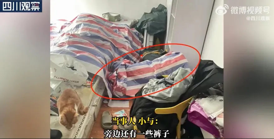 影/女大生打工到府餵貓…詭異麻袋現「呼吸起伏」　男飼主疑裸體躲藏「求被踩」