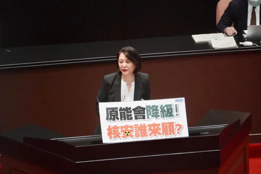 民進黨將徵召林飛帆對戰王鴻薇　網友反應超驚人