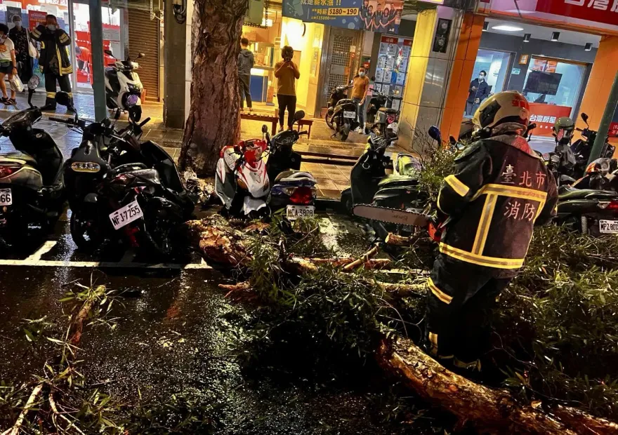 快訊/ 瑪娃警報解除北市局部暴雨　重慶北路3米高路樹倒塌壓機車