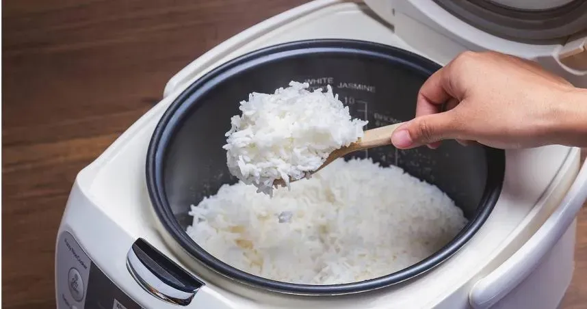 減肥可以吃白飯嗎？中醫揭2大好處　戒「它」才能顧好腸胃