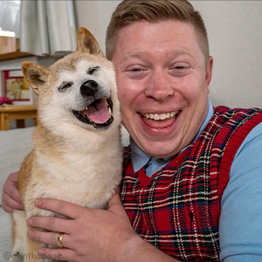 兩大迷因巨星相見歡！「超衰布萊恩」同框DOGE柴犬　粉絲直呼根本太夢幻