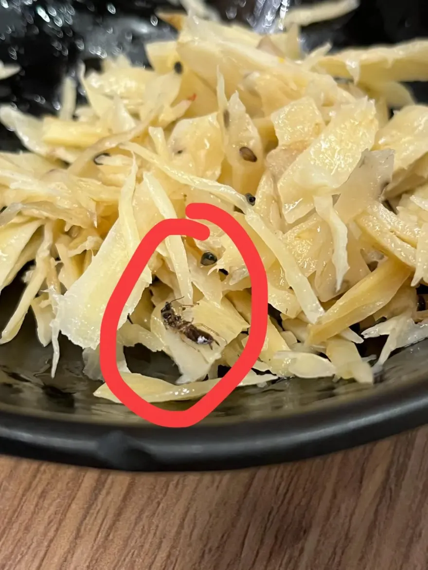 比抹布水還噁！知名連鎖豬排店牛蒡絲「小強當芝麻灑」　妹子嚇壞吃完狂拉