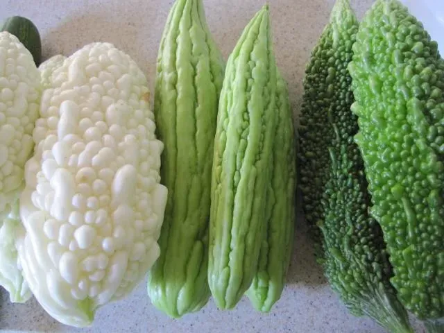 血糖高又怕吃藥傷身？醫曝「吃苦瓜」可以做為輔助食品！