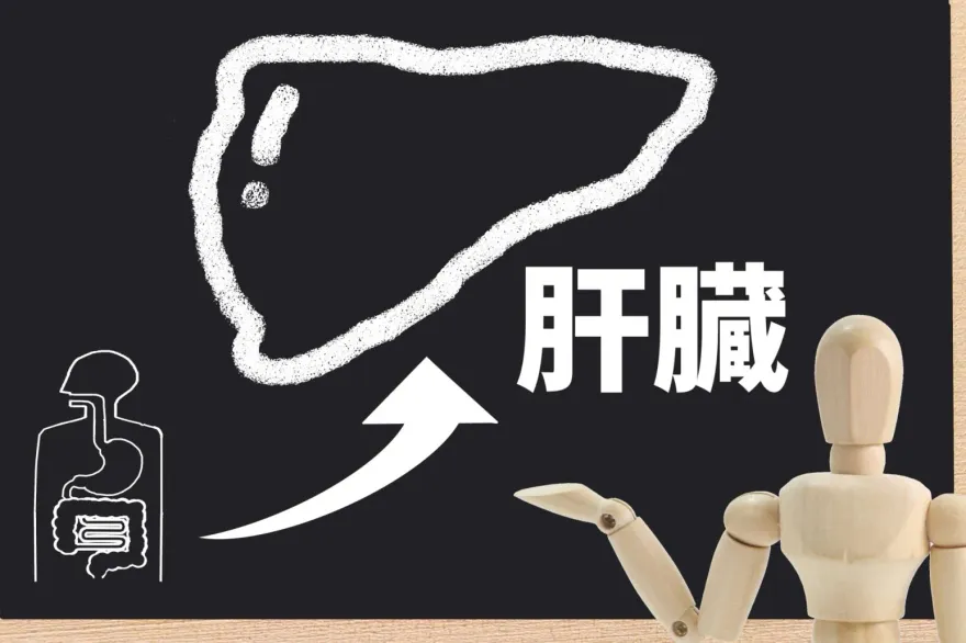 比熬夜、加班還爆肝？ 醫師揭最傷肝「6大飲食」：保健品也是大地雷