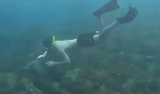 影/摸海龜全都錄！外籍男小琉球潛水「追龜玩」　海巡查緝中