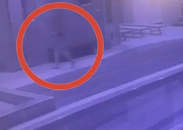 影/三峽社區豬哥救生員偷拍女住戶沖澡！當場被抓包　火速開除送辦