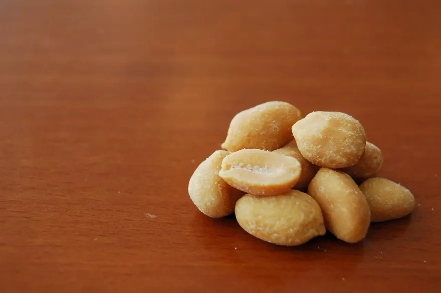 天然保健食品！營養師：夏威夷豆是好油「1天3顆」剛剛好