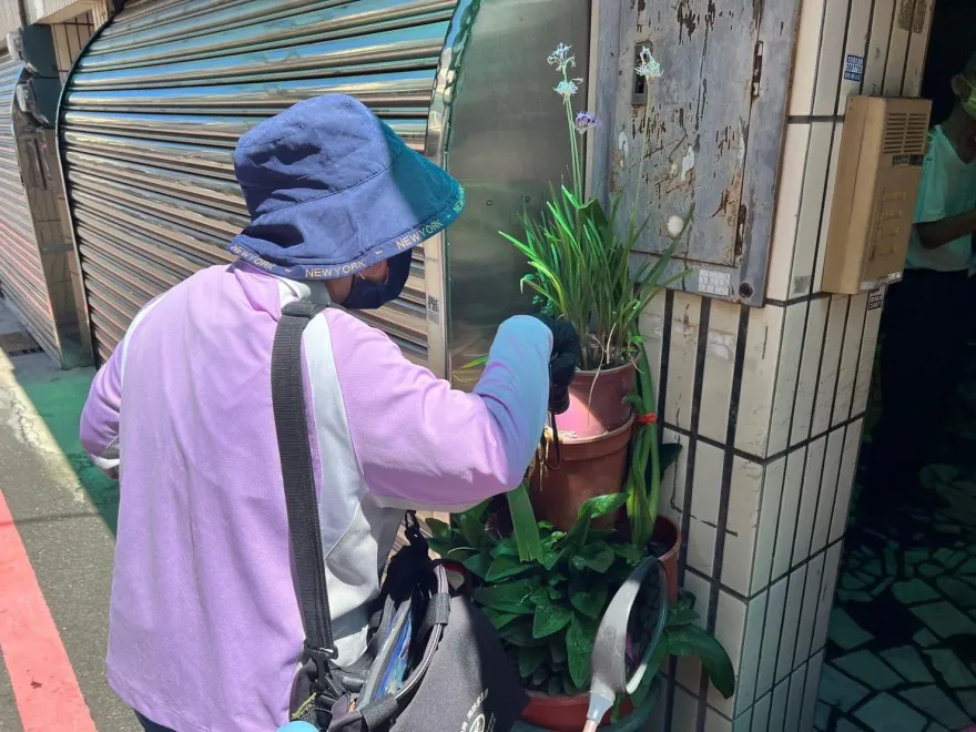 登革熱亮紅燈！本土傳染源頭找到了　全從這國家來