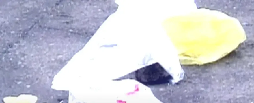 舞小姐殺手1/她慘遭分屍棄置北桃兩地　車內1張金錶當票讓兇手俯首認罪