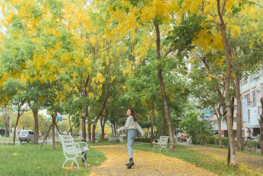 快樂FUN暑假！騎自行車遊嘉義賞美景　浪漫黃金雨有如置身偶像劇