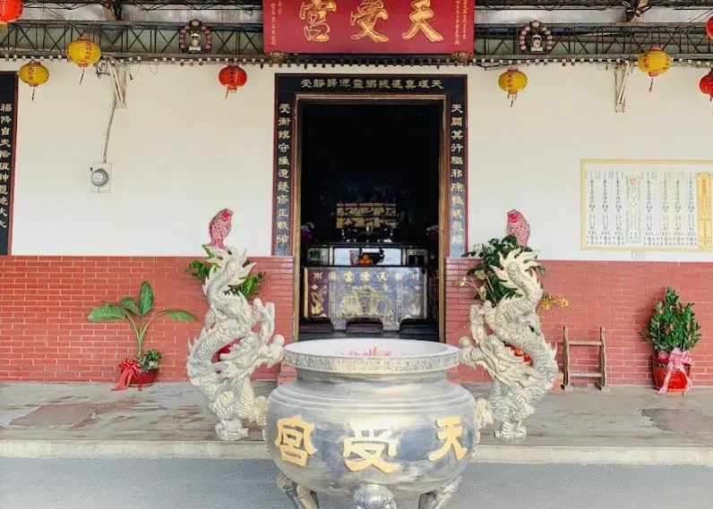 43年端午從未缺席！南投天受宮「帝爺公蛇」尚未現身　廟方：一切隨緣