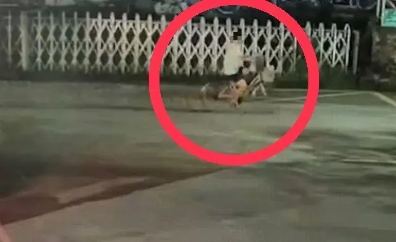 影/鐵馬妹子自行車道慘遭MeToo！全裸男對著她DIY後秒逃　警掌握行蹤追緝中