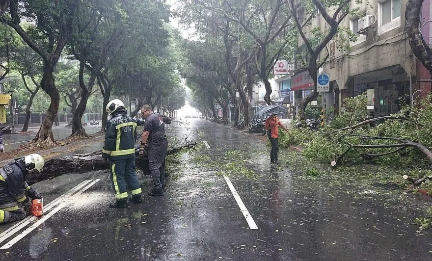 午後強降雨北市路樹倒塌　多處小範圍積淹水
