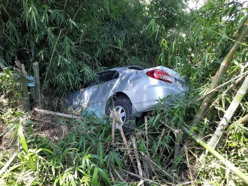 男揪友人釣魚！半路車子竟不聽話　飛入竹林超尷尬