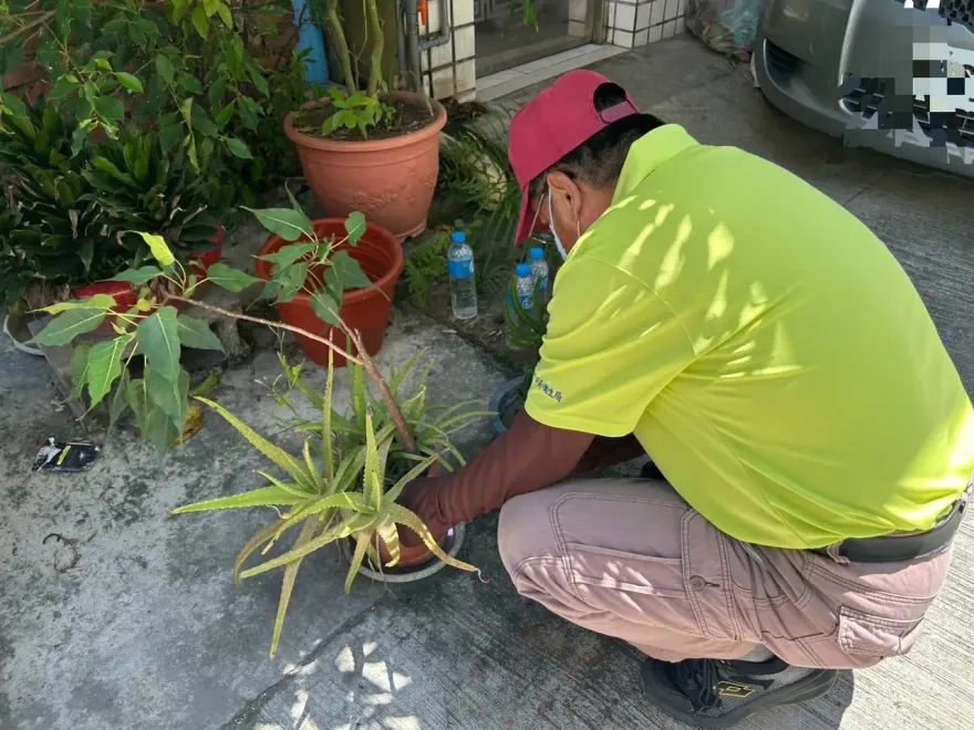 北高雄守不住！茄萣區登革熱+1　陳其邁坦言：與東南亞國家密切來往有防疫壓力