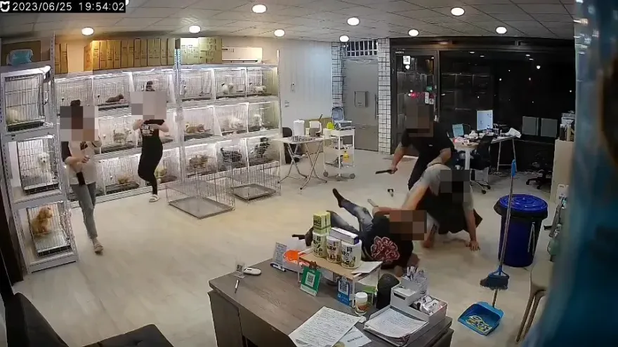 斷手畫面曝！彰化惡煞喊：一隻手拿出來　寵物店員疑欠錢遭買兇