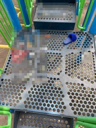 噁！「用過保險套、紅內褲」掛遊樂設施　網：不敢帶小孩去公園了