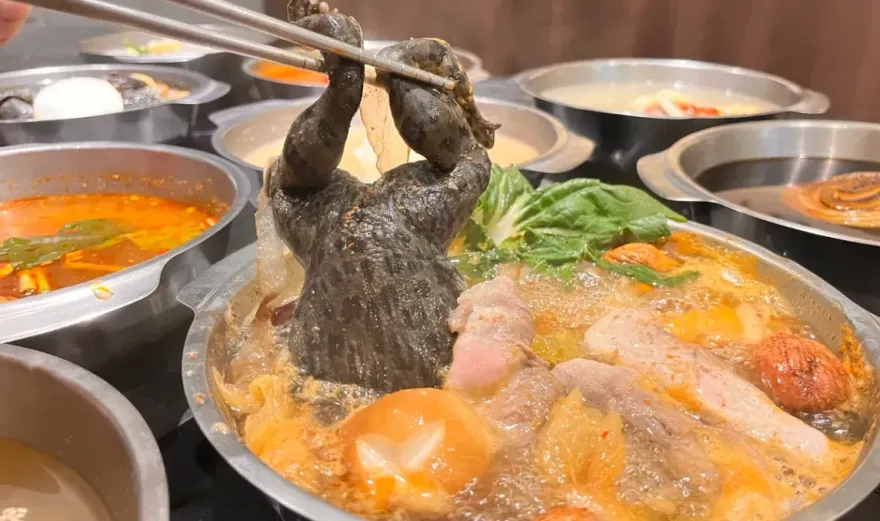 獵奇料理再來！原型青蛙火鍋「連皮帶骨」　網批：無腦跟風搏版面